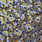 Captain Gold/Navy